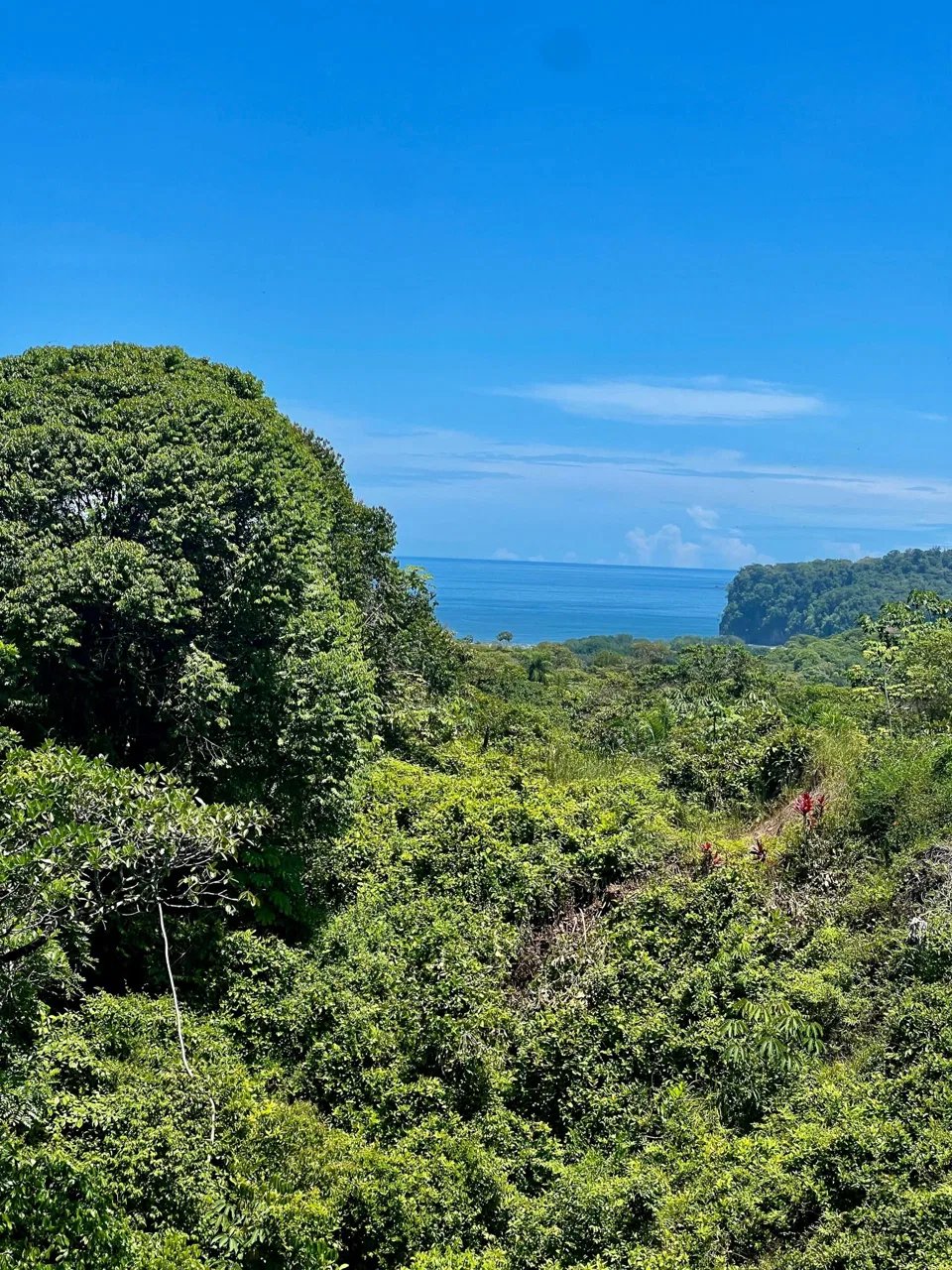OCEAN & MOUNTAIN VIEW LOT IN CALLE PEREZOSO – 0.6 ACRES, photo 3