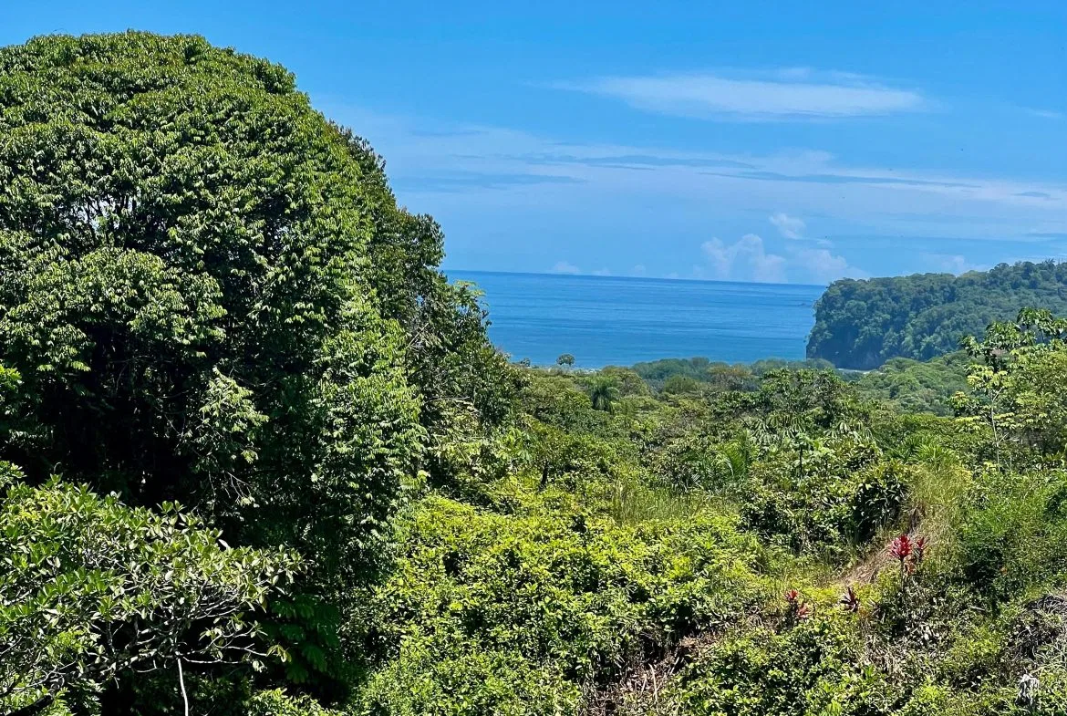 OCEAN & MOUNTAIN VIEW LOT IN CALLE PEREZOSO – 0.6 ACRES, photo 4