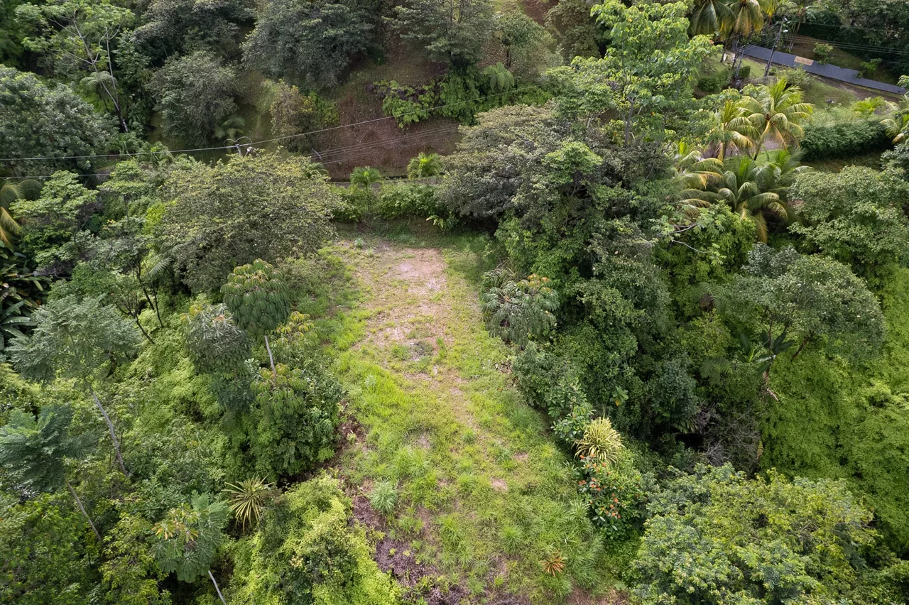 OCEAN & MOUNTAIN VIEW LOT IN CALLE PEREZOSO – 0.6 ACRES, photo 5