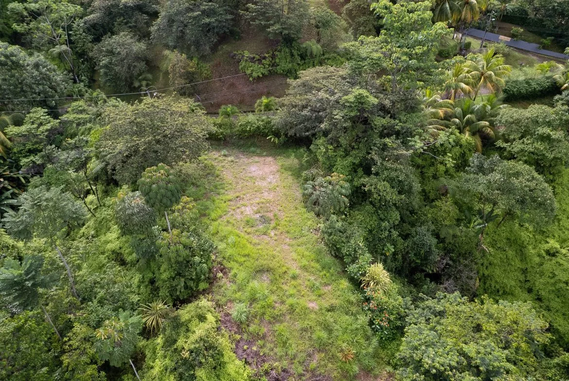OCEAN & MOUNTAIN VIEW LOT IN CALLE PEREZOSO – 0.6 ACRES, photo 6