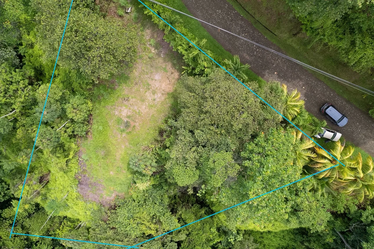 OCEAN & MOUNTAIN VIEW LOT IN CALLE PEREZOSO – 0.6 ACRES, photo 7