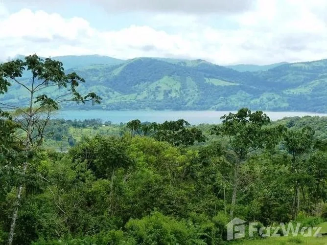 Land for Sale in Tilaran, Guanacaste for $80,000, photo 3