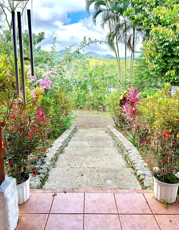 Costa Rica Ecolodge Retreat: TURNKEY COSTA RICA ECOLODGE & WELLNESS RETREAT | 28 ACRES + 5 GUEST CABINS | 45 MINUTES FROM LA FORTUNA 