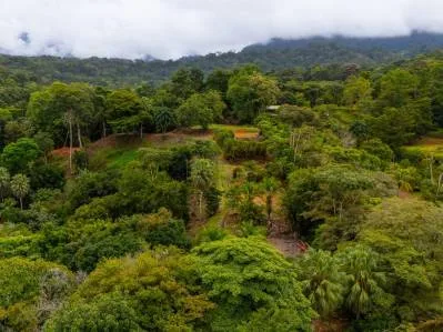Terreno Comercial 57647 m2 Uvita., photo 10