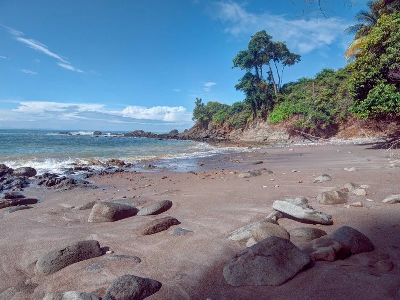 4 Bed Hotel / Leisure For Sale in Dominical, photo 7