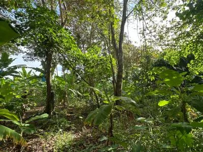 TERRENO EN PLAYA NEGRA, photo 5