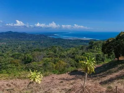 Luxury Ocean View Estate Lot in Cinco Ventanas | 2,076 m² Prime Development Opportunity, photo 5
