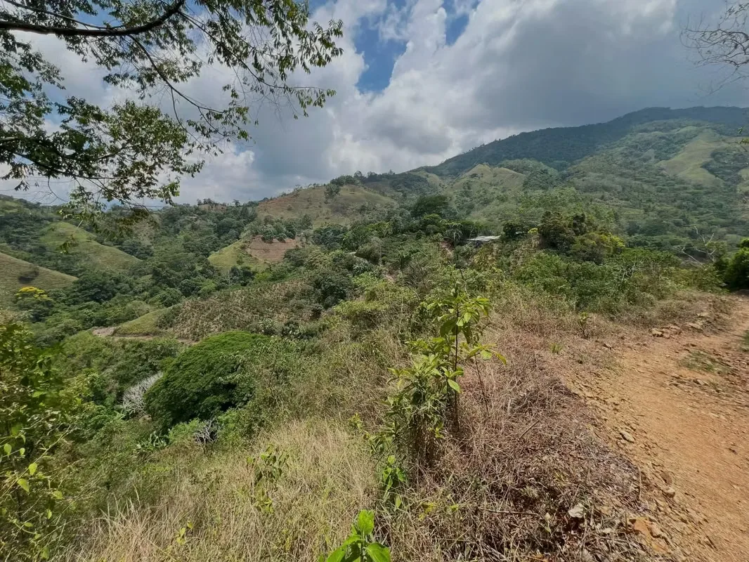 Nestled among the lush hillsides, just an hour’s scenic drive along paved roads from the vibrant hub of Ciudad Colone, lies Finca Antonio – a haven of natural beauty and sustainable ..., photo 12