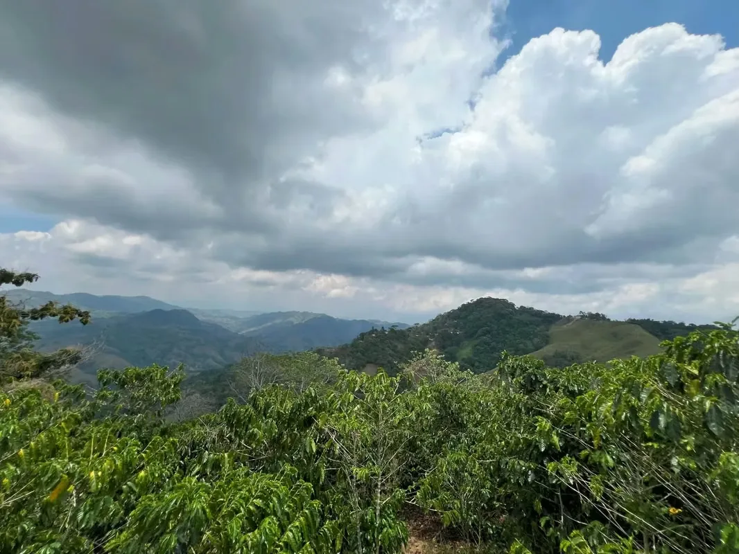 Nestled among the lush hillsides, just an hour’s scenic drive along paved roads from the vibrant hub of Ciudad Colone, lies Finca Antonio – a haven of natural beauty and sustainable ..., photo 13