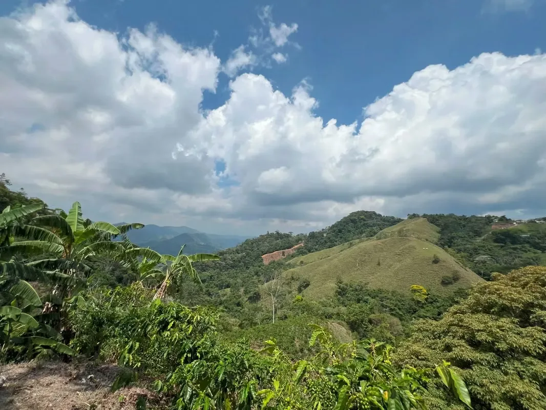 Nestled among the lush hillsides, just an hour’s scenic drive along paved roads from the vibrant hub of Ciudad Colone, lies Finca Antonio – a haven of natural beauty and sustainable ..., photo 15