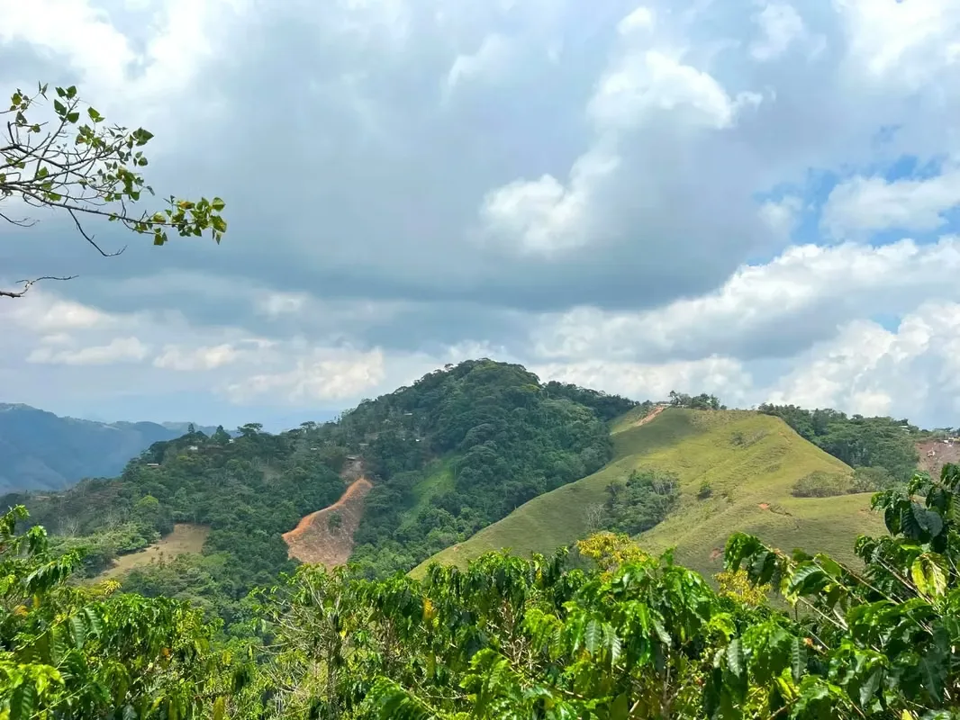 Nestled among the lush hillsides, just an hour’s scenic drive along paved roads from the vibrant hub of Ciudad Colone, lies Finca Antonio – a haven of natural beauty and sustainable ..., photo 3
