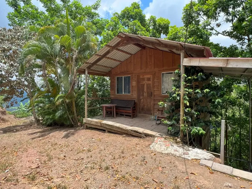 Nestled among the lush hillsides, just an hour’s scenic drive along paved roads from the vibrant hub of Ciudad Colone, lies Finca Antonio – a haven of natural beauty and sustainable ..., photo 4