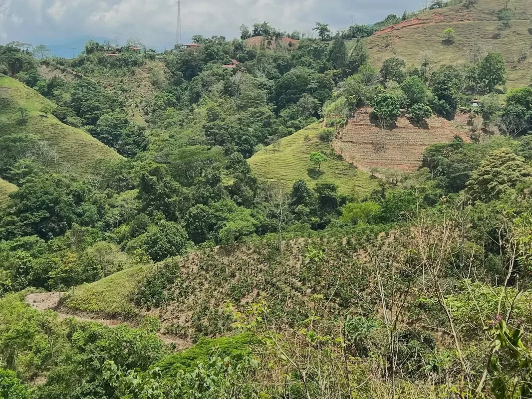 Nestled among the lush hillsides, just an hour’s scenic drive along paved roads from the vibrant hub of Ciudad Colone, lies Finca Antonio – a haven of natural beauty and sustainable ..., photo 5