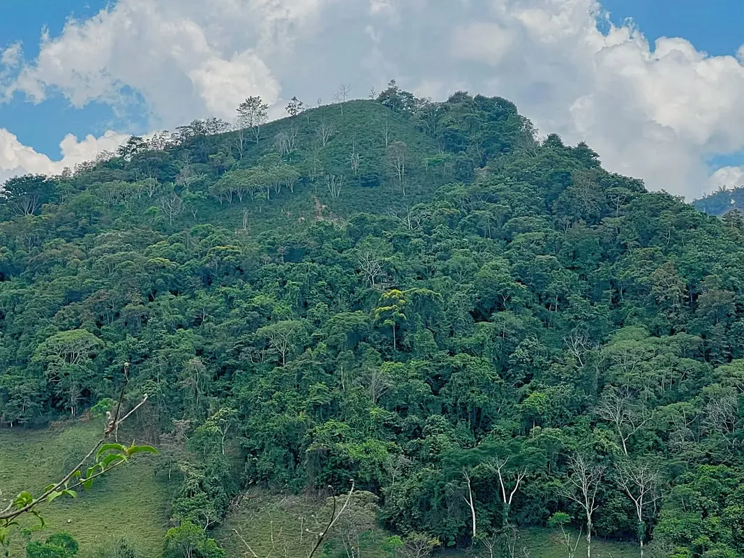 Nestled among the lush hillsides, just an hour’s scenic drive along paved roads from the vibrant hub of Ciudad Colone, lies Finca Antonio – a haven of natural beauty and sustainable ..., photo 6