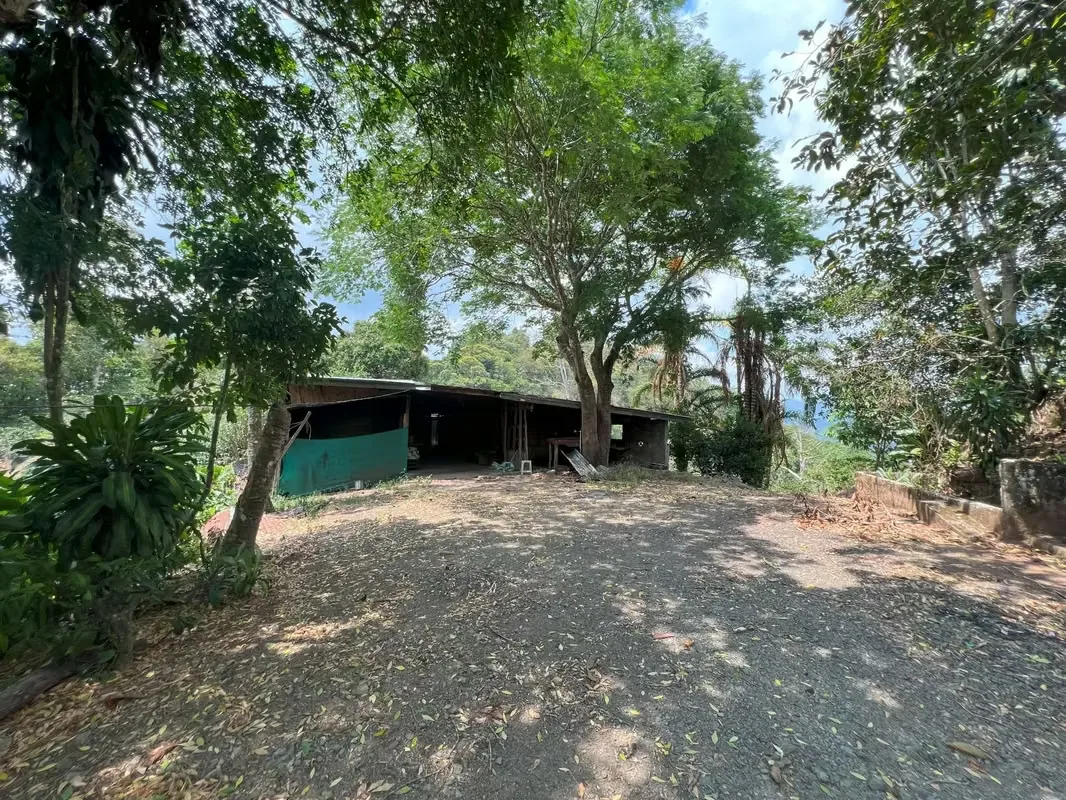Nestled among the lush hillsides, just an hour’s scenic drive along paved roads from the vibrant hub of Ciudad Colone, lies Finca Antonio – a haven of natural beauty and sustainable ..., photo 8