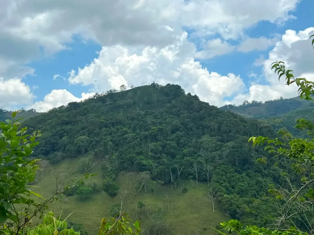 Nestled among the lush hillsides, just an hour’s scenic drive along paved roads from the vibrant hub of Ciudad Colone, lies Finca Antonio – a haven of natural beauty and sustainable ..., photo 9