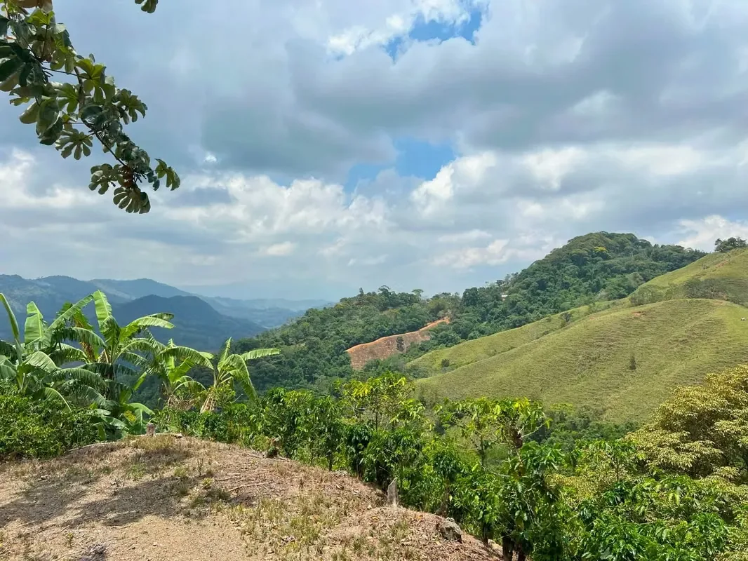Nestled among the lush hillsides, just an hour’s scenic drive along paved roads from the vibrant hub of Ciudad Colone, lies Finca Antonio – a haven of natural beauty and sustainable ..., photo 10