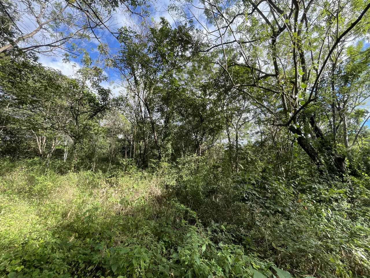 Ready to Build 0.5 Acre Lot 3 Mins to Tamarindo!