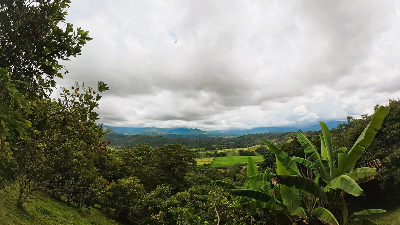 Spacious Lot For Sale With Beautiful Views And Private Spring Water In The Center Of La Palma, photo 12