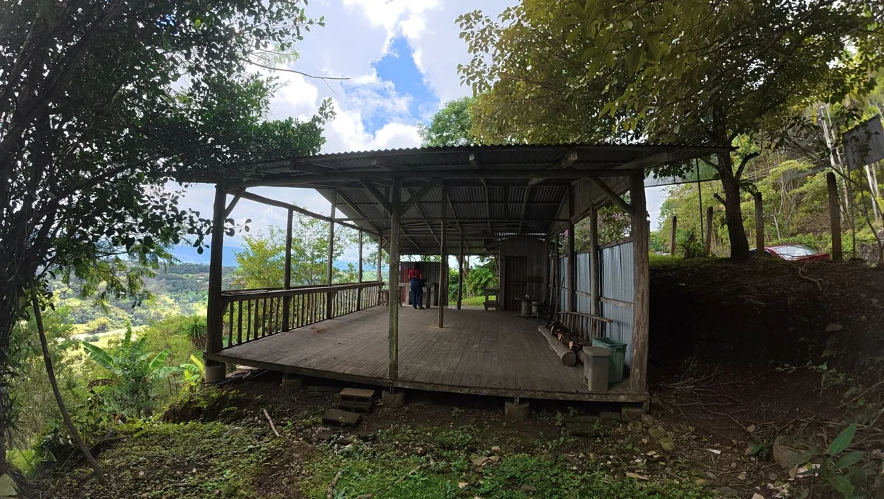 Spacious Lot For Sale With Beautiful Views And Private Spring Water In The Center Of La Palma, photo 6