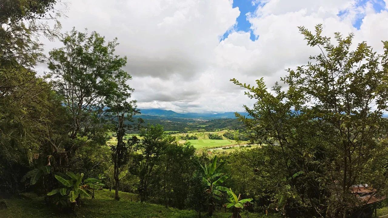 Spacious Lot For Sale With Beautiful Views And Private Spring Water In The Center Of La Palma, photo 7
