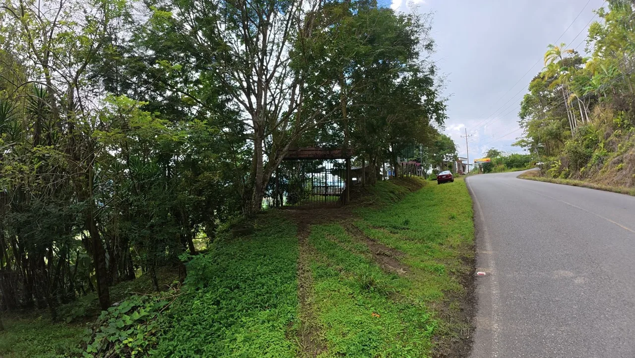 Spacious Lot For Sale With Beautiful Views And Private Spring Water In The Center Of La Palma, photo 8