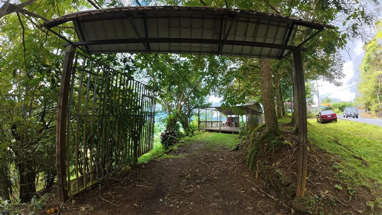 Spacious Lot For Sale With Beautiful Views And Private Spring Water In The Center Of La Palma, photo 9