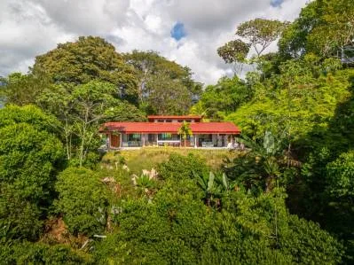 PROPERTY IN THE MIDDLE OF THE NATURE WITH OCEAN VIEWS, IN OJOCHAL – 3.6 ACRES, photo 25