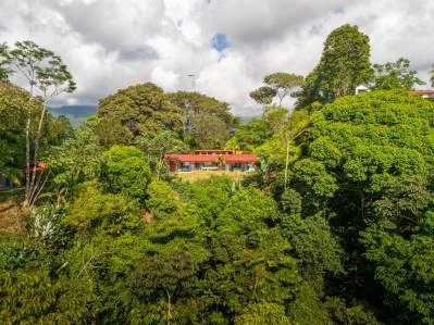 PROPERTY IN THE MIDDLE OF THE NATURE WITH OCEAN VIEWS, IN OJOCHAL – 3.6 ACRES, photo 26