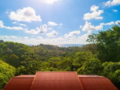 PROPERTY IN THE MIDDLE OF THE NATURE WITH OCEAN VIEWS, IN OJOCHAL – 3.6 ACRES, photo 28