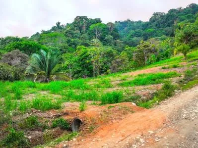 For Sale: Prime 8,438 m² (2-Acre) Land in Playa Hermosa, Uvita – Just Minutes from the Beach, photo 2