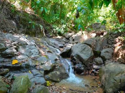 For Sale: Prime 8,438 m² (2-Acre) Land in Playa Hermosa, Uvita – Just Minutes from the Beach, photo 3