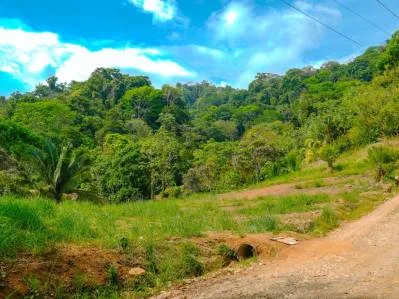 For Sale: Prime 8,438 m² (2-Acre) Land in Playa Hermosa, Uvita – Just Minutes from the Beach, photo 4