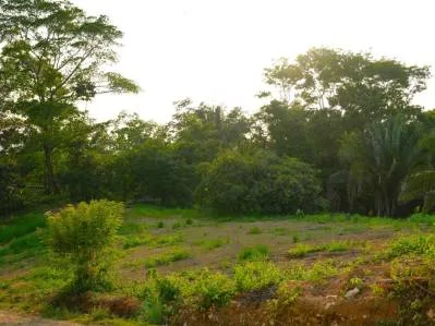 For Sale: Prime 8,438 m² (2-Acre) Land in Playa Hermosa, Uvita – Just Minutes from the Beach, photo 5