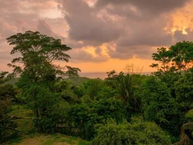 For Sale: Prime 8,438 m² (2-Acre) Land in Playa Hermosa, Uvita – Just Minutes from the Beach, photo 6