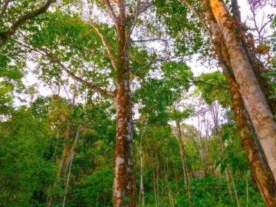 For Sale: Prime 8,438 m² (2-Acre) Land in Playa Hermosa, Uvita – Just Minutes from the Beach, photo 10
