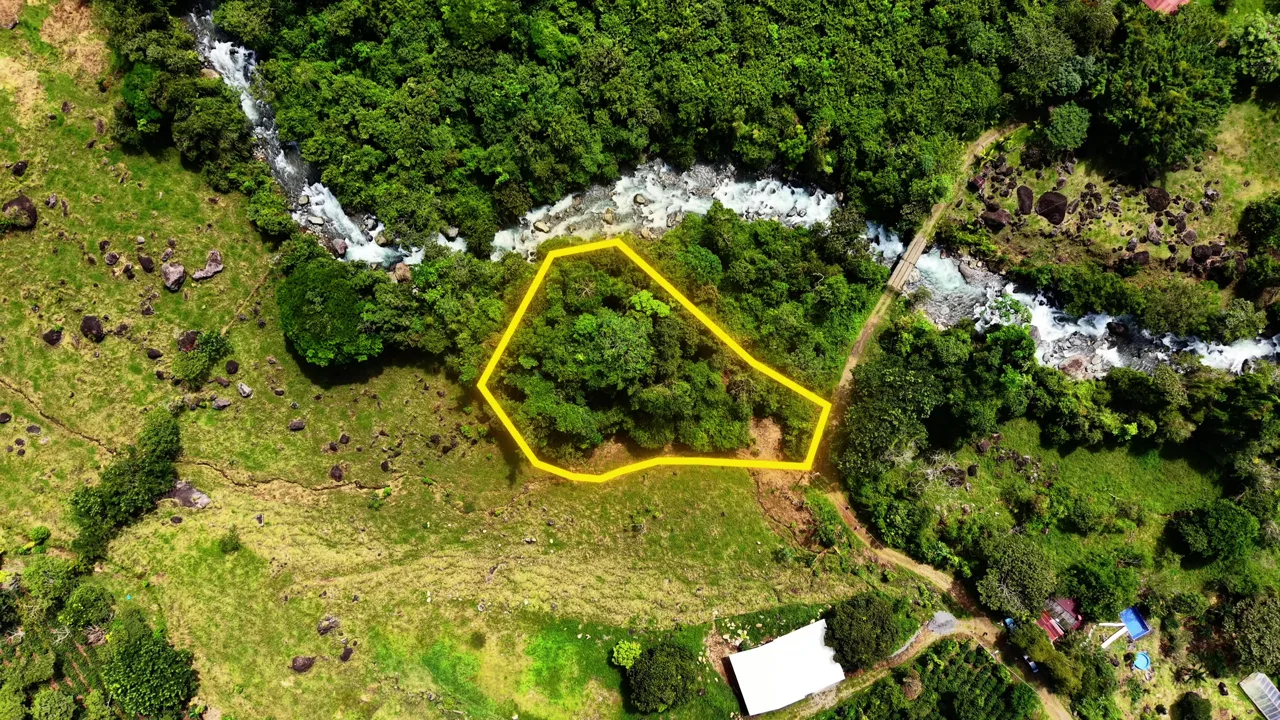 VENTA DE LOTE RESIDENCIAL DE 2.000 M2 FRENTE AL RIO PEÑAS BLANCAS EN SANTA ELENA, PEREZ ZELEDON