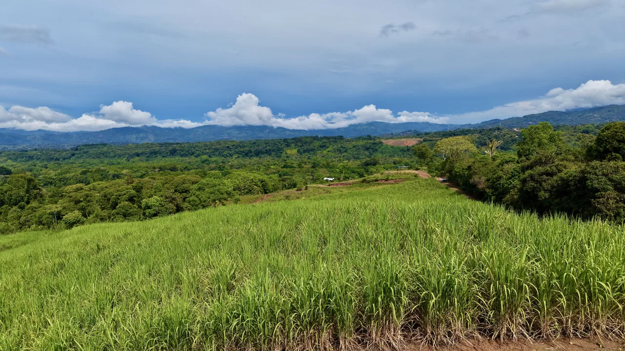 SE VENDE FINCA DE CAÑA CON VISTAS PANORAMICAS Y AGUA PROPIA