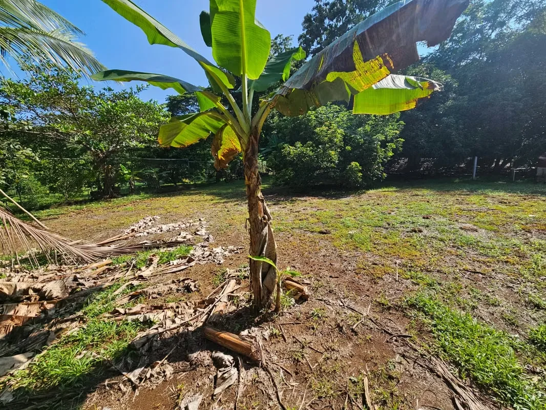 Lote en Venta en Quebrada Ganado, Garabito – Uso Mixto Cerca de Playa Blanca y Playa Mantas, photo 3