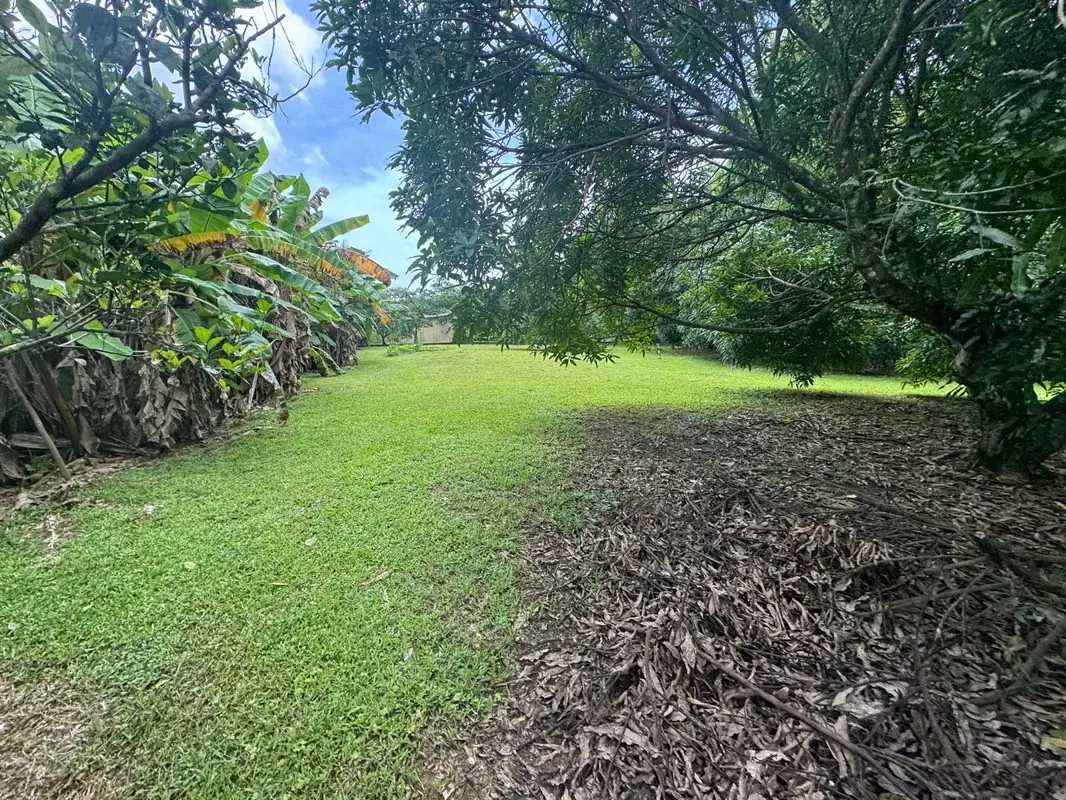 Lote en Venta en Quebrada Ganado, Garabito – Uso Mixto Cerca de Playa Blanca y Playa Mantas, photo 5