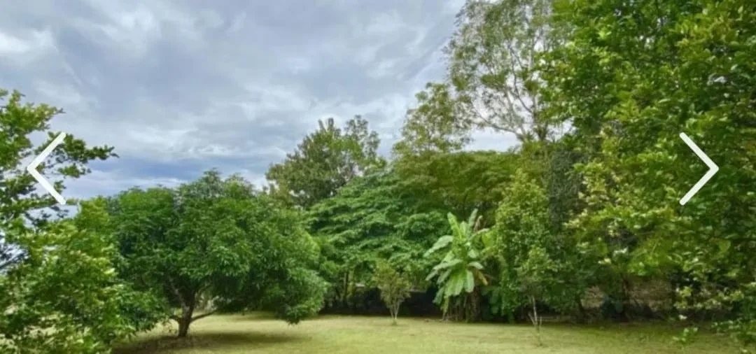 Lote en Venta en Quebrada Ganado, Garabito – Uso Mixto Cerca de Playa Blanca y Playa Mantas, photo 6