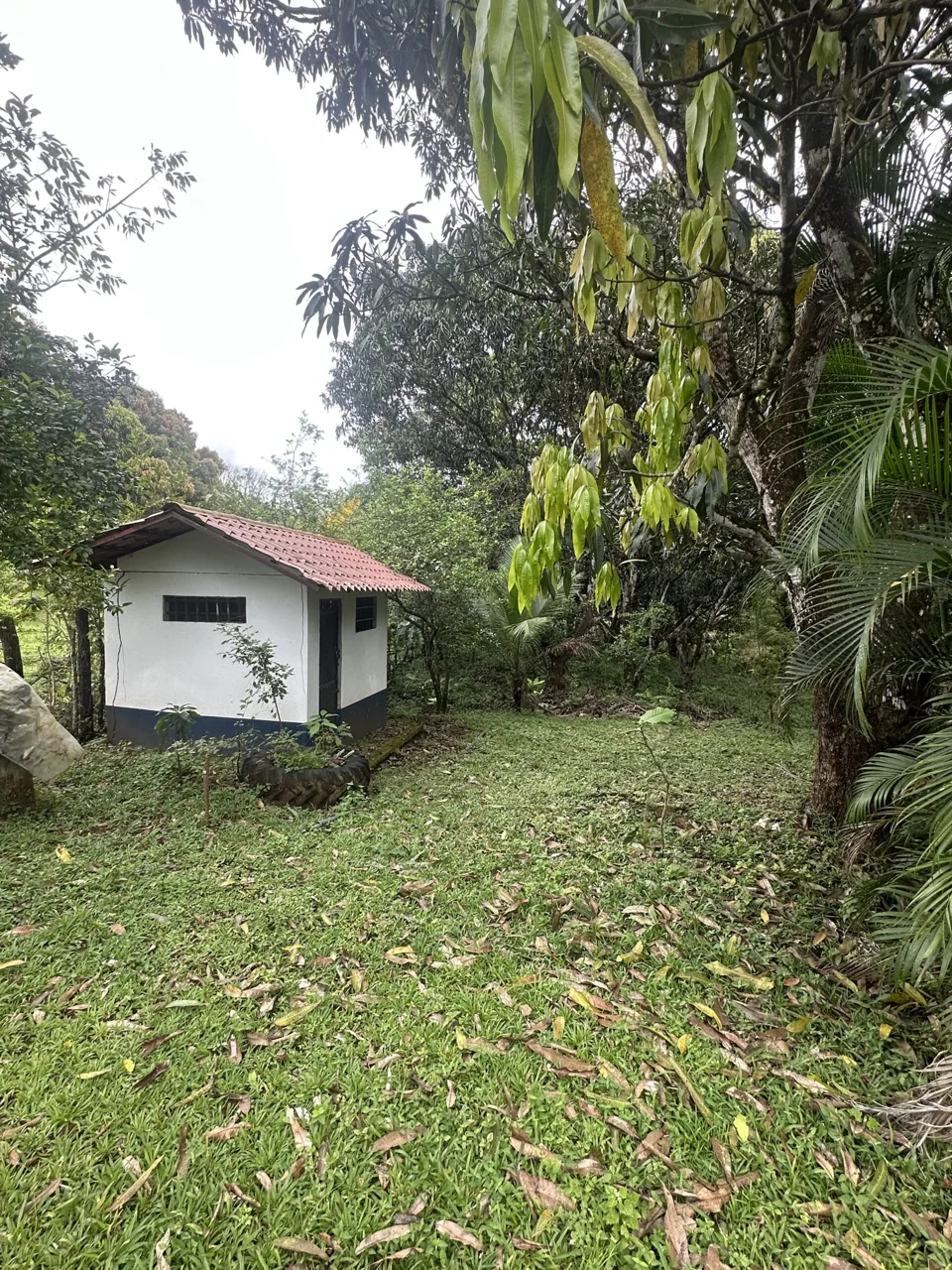 Country Estate for Sale in Turrubares, Laguna – Calle El Ebais, with BBQ Ranch and Two Small Homes, photo 14