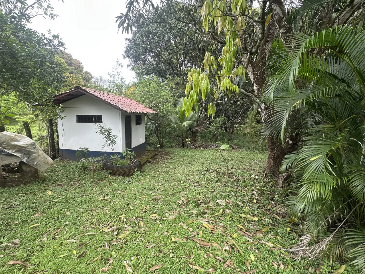 Country Estate for Sale in Turrubares, Laguna – Calle El Ebais, with BBQ Ranch and Two Small Homes, photo 15