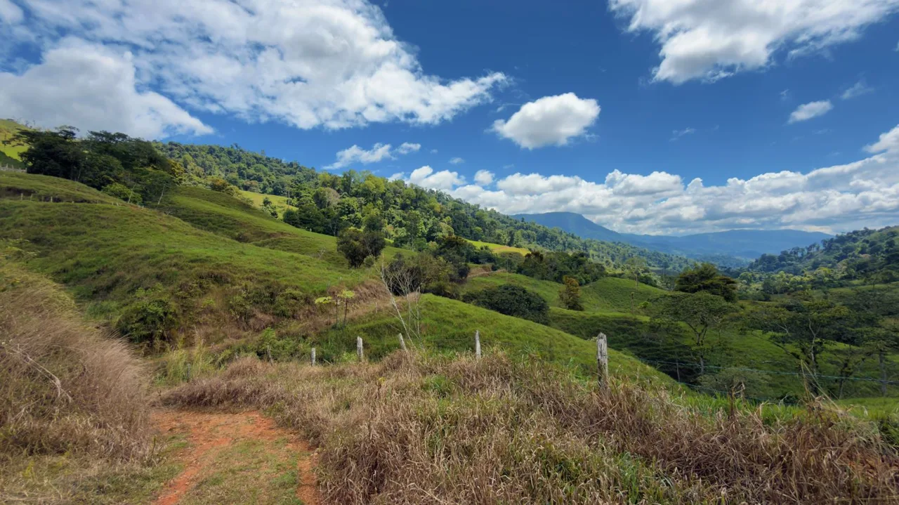 Stunning 38 Hectares Land for Sale Perez Zeledon Costa Rica, photo 11