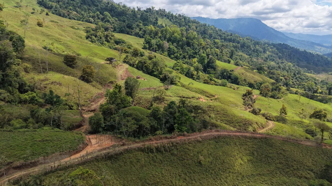 Stunning 38 Hectares Land for Sale Perez Zeledon Costa Rica, photo 12