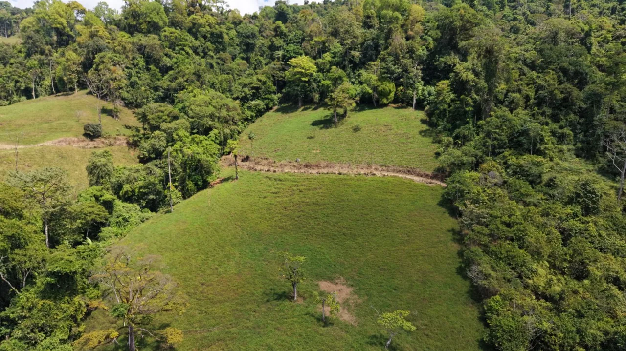 Stunning 38 Hectares Land for Sale Perez Zeledon Costa Rica, photo 13
