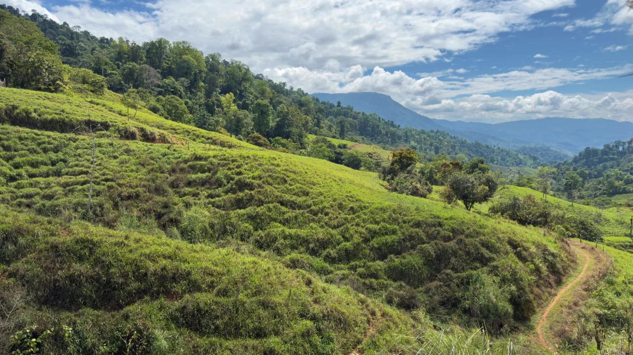 Stunning 38 Hectares Land for Sale Perez Zeledon Costa Rica, photo 14