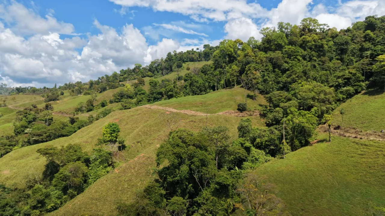 Stunning 38 Hectares Land for Sale Perez Zeledon Costa Rica, photo 15