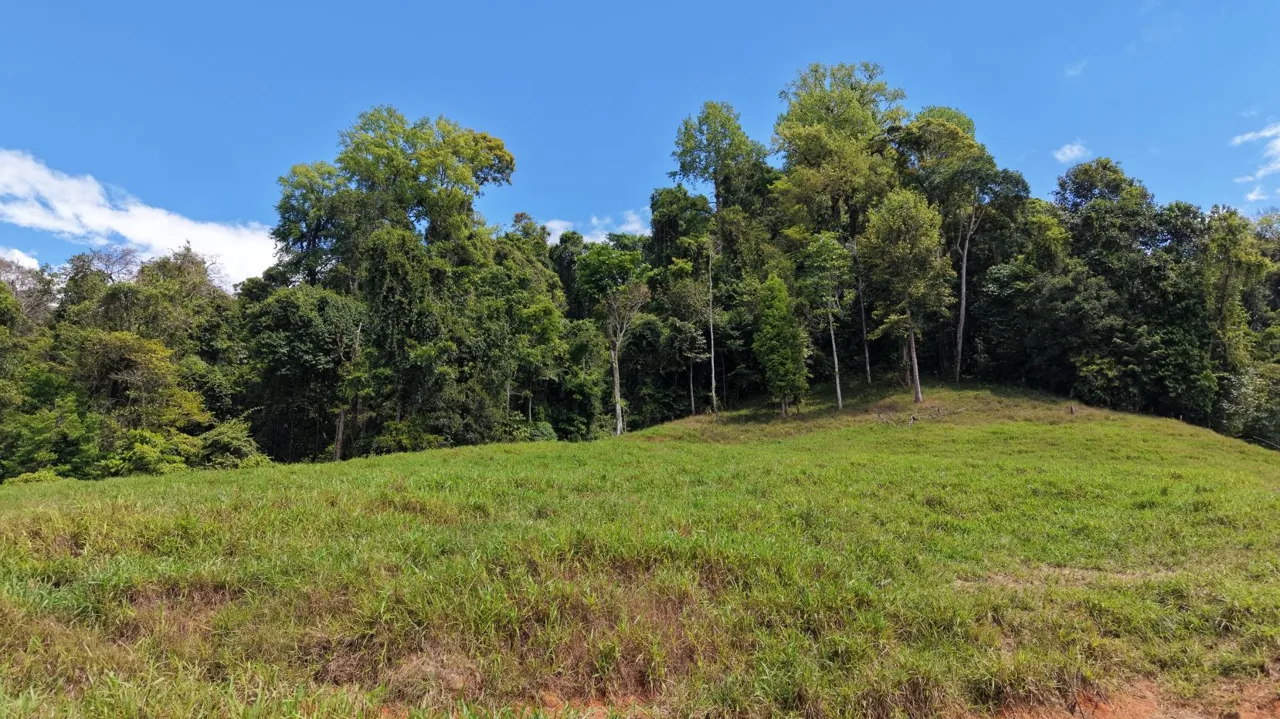 Stunning 38 Hectares Land for Sale Perez Zeledon Costa Rica, photo 6