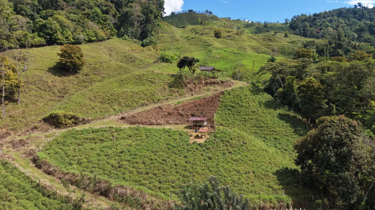 Stunning 38 Hectares Land for Sale Perez Zeledon Costa Rica, photo 7